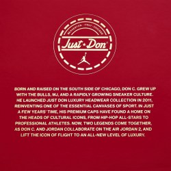 AIR JORDAN 2 RETRO JUST DON 