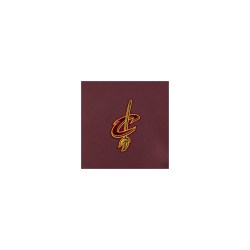 CLEVELAND CAVALIERS NIKE DRY SHOWTIME