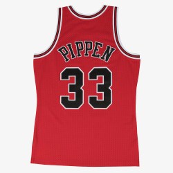 98-hardwood-classics-swingman-SMJYGS18153-CBUSCAR97SPI-1