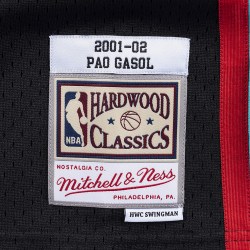 pau-gasol-memphis-grizzlies-2001-02-black-swingman-jersey_SMJYLG19015-MGRBLCK01PGA-2